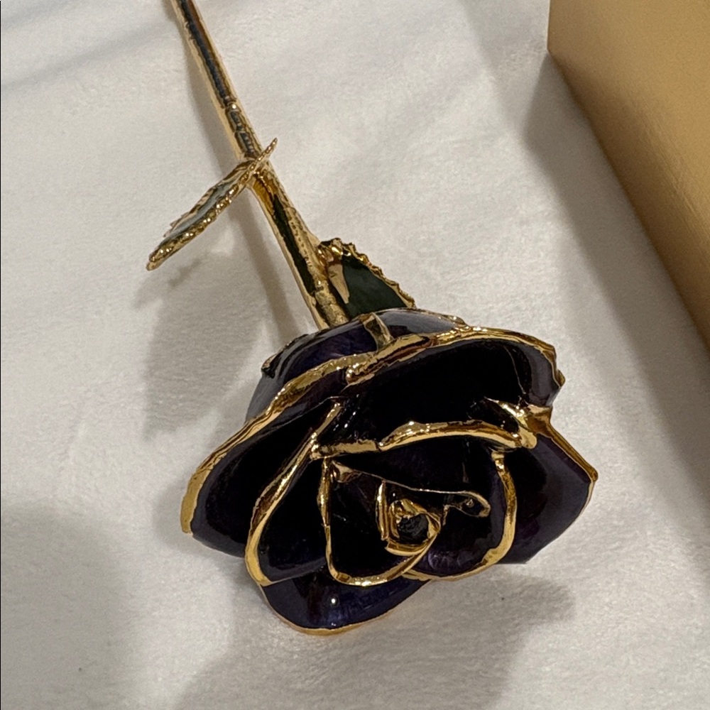 Gold Dipped Rose with Box